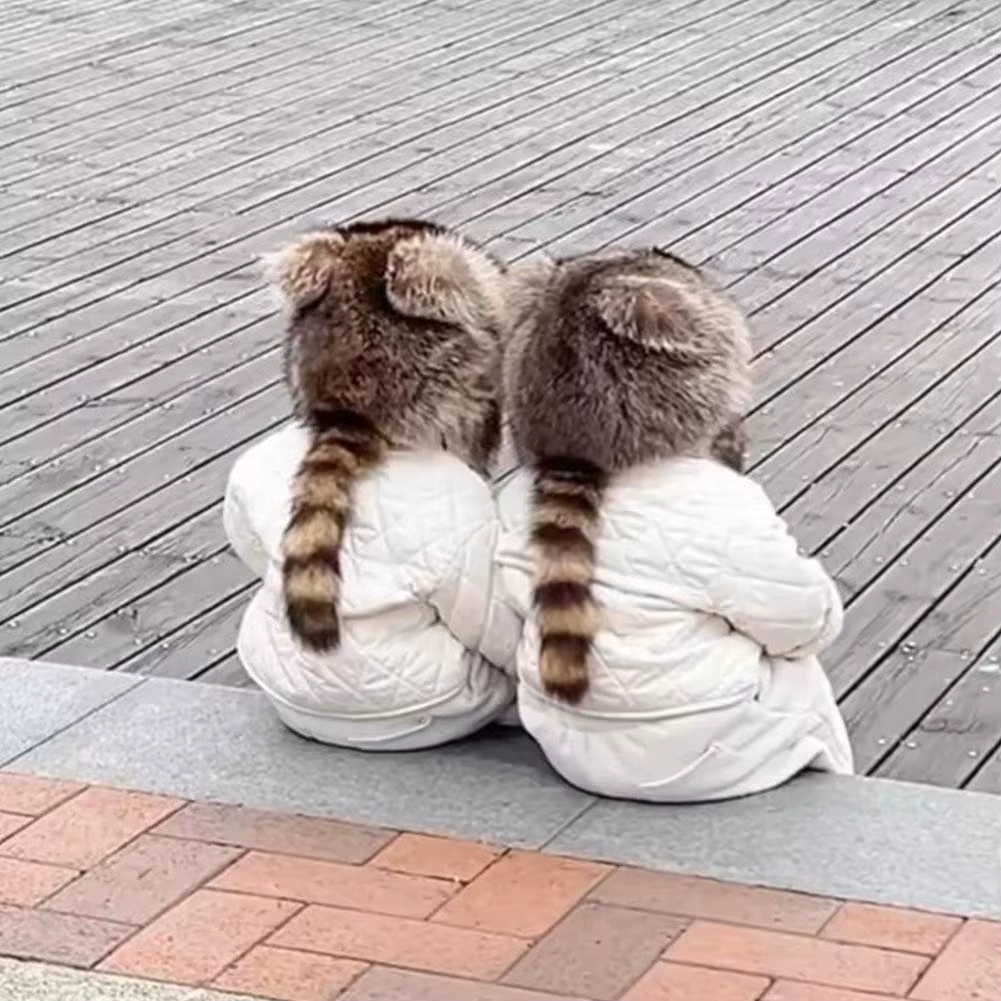Winter Thickening Lei Feng Hat Season Thickened Cute Raccoon Tail Plush Cap Women Winter Windproof Thick Warm Ears Flaps Hat