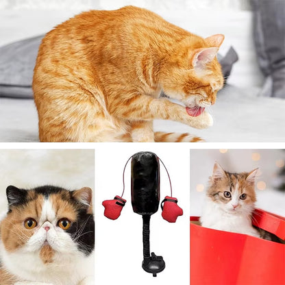 Cat Boxing Toy Interactive Game Punching Bag with Gloves Creativity Mini Gym Stress Relief Home Portable Pet Dog Training Tools