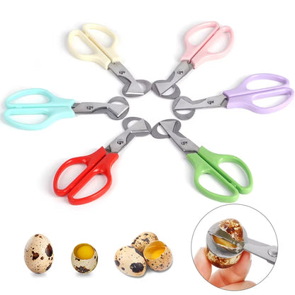 1Pcs Quail Egg Shell Scissors Rust Resistant Durable Cigar Cutters Multifunction Kitchen Tools Stainless Steel Blade